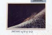 PAMERAN KEINDAHAN ALAM 1994 3