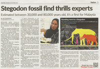 The Star_10-Oct-2020_ms 5_Stegodon fossil find thrills experts
