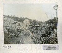 SEJARAH KOLEKSI JOHOR