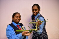 HMA 2024 - BENGKEL SENI ANYAMAN BELALANG