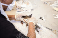 BENGKEL TAKSIDERMI IKAN