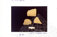 ARKEOLOGI SG. MAS, KEDAH SM : 32-4 / 93 VOL : 1 W