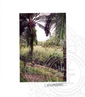 ARKEOLOGI TAMPAN, LENGGONG, PERAK JILID 4