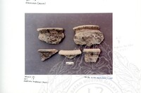 ARKEOLOGI SG. MAS, KEDAH SM : 32-4/93 VOL:2 W