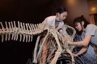 GAMBAR KOLEKSI DAN PENGENDALIAN PAMERAN GELARI 1