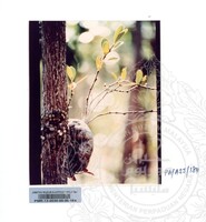 KOLEKSI PAMERAN ALAM SEMULAJADI 1994