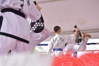 HMA 2025- 26.7.2025 -  PERTUNJUKAN TAEKWONDO