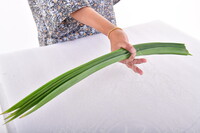 DOKUMENTASI PENGGUNAAN GANTANG DAN CUPAK UNTUK PAMERAN METROLOGI MEDM