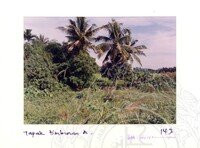 ARKEOLOGI SG. MAS, KEDAH SM: 32-5/ 93 VOL: 1 W