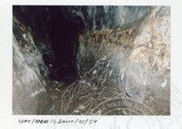 ARKEOLOGI. SURVEY GUA BAMA, PAHANG DAN ORANG ASLI DI KELANTAN