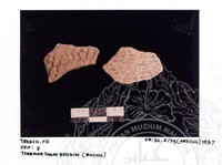 ARKEOLOGI SG. MAS, KEDAH SM: 32-5/ 93 (ARTIFAK)