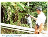 ARKEOLOGI SG, MAS, KEDAH  SM: 32-14/ 2000 (JILID 3)