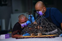 DOKUMENTARI PROSES KONSERVASI KAPAL CENGKIH