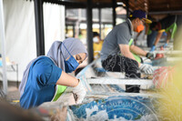 BENGKEL RESTORASI PERAHU