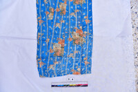 PHK 2023 PEROLEHAN HARTA KEBUDAYAAN DI BANTING