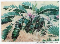 BANGUNAN MUZIUM ARKEOLOGI LEMBAH BUJANG KEDAH - JILID 5