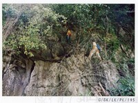 ARKEOLOGI GUA-GUA BATU KAPOR DI SEKITAR LEMBAH KINTA IPOH, PERAK