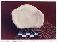 ARKEOLOGI SG. MAS, KEDAH SM : 32 - 9 / 200 (JILID 5)