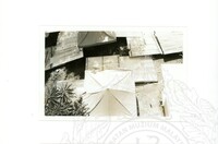 ARKEOLOGI SG. MAS, KEDAH SM, 32-4,93 VOL,3 HP FASA 4 LOKASI, POKOK, LAWATAN, CERAMAH, AKTIVITI - HITAM/ PUTIH. HASSAN