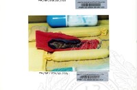 BAHAN PAMERAN TEROKAI HANTU