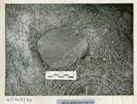 ARKEOLOGI BENDANG DALAM TPK 50 1974