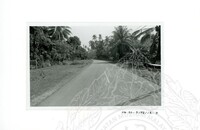 ARKEOLOGI SG. MAS, KEDAH SM : 32-3 / 93 VOL : 9 HP