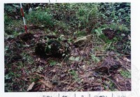 ARKEOLOGI EKSPLORASI JOHOR 2001 JILID 1