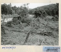BATU HIDUP NEGERI SEMBILAN JILID 1 - 024