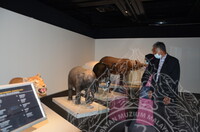 'SEMBANG OTAI' SEMPENA PAMERAN KEAJAIBAN TASKIDERM