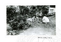 ARKEOLOGI SG. MAS, KEDAH SM: 32-5/ 93 VOL: 5 W