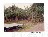 ARKEOLOGI SG. MAS, KEDAH SM: 32-7/95 (JILID 4) (WARNA)