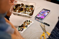 HMA 2024 - BUTTERFLY WING WORKSHOP BY ENTOPIA PENANG