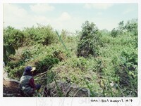 ARKEOLOGI SG. MAS, KEDAH SM: 32/ 2001/ 1-251 (JILID 1)