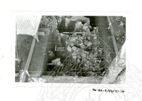 ARKEOLOGI SG. MAS, KEDAH SM: 32-5/ 93 VOL 4 W