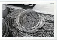 PERUSAHAAN TEMBIKAR (LABU) (PERAK)