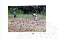 ARKEOLOGI KOTA KAYANG PERLIS 2002 JILID 3