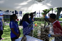 HMA 2024 - SPEED DATING WITH MUSEUM PRACTITIONERS