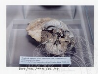 ARKEOLOGI KOTA BALAI / GELANGGI PHG. (2002)