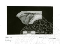 ARKEOLOGI SG. MAS, KEDAH SM: 32-5/ 93 (ARTIFAK) (HITAM PUTIH)