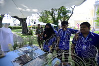 HMA 2024 - SPEED DATING WITH MUSEUM PRACTITIONERS