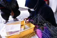 MUZIUM@KOMUNITI SIRI 1/2022 MUZIUM PRIHATIN-MISI BANJIR JABATAN MUZIUM MALAYSIA