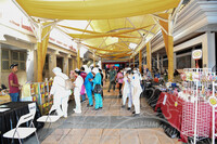 MAJLIS PERASMIAN PAMERAN SENI DAN PERSEMBAHAN ART SHOW MUZIK SENI PENDIDIKAN & UNITI