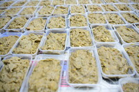 PROGRAM MEMASAK BUBUR ASYURA ANJURAN SURAU AL-FALAH MUZIUM NEGARA