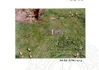 ARKEOLOGI SG. MAS, KEDAH SM: 32 - 5/ 93 VOL: 2 W