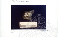 ARKEOLOGI SG. MAS, KEDAH SM : 32-4/93 VOL:2 W