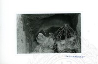 ARKEOLOGI SG. MAS, KEDAH SM : 32-3/93 VOL : 9 HP