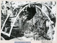 PERAYAAN THAIPUSAM JILID 1