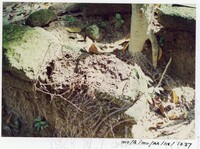 BANGUNAN MUZIUM ARKEOLOGI LEMBAH BUJANG KEDAH - JILID 4