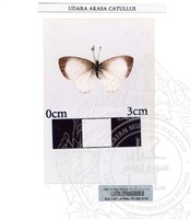 ALAM SEMULAJADI RAMA-RAMA JILID 1