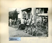 BAHAN PAMERAN DURIAN RAJA SEGALA BUAH